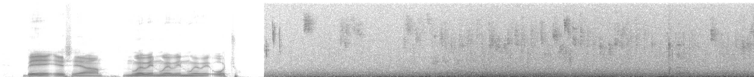 Sparkling Violetear - ML259794