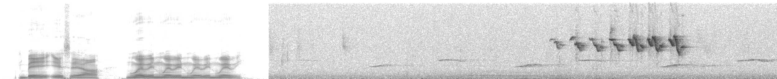 Черногорлая канделита - ML259795