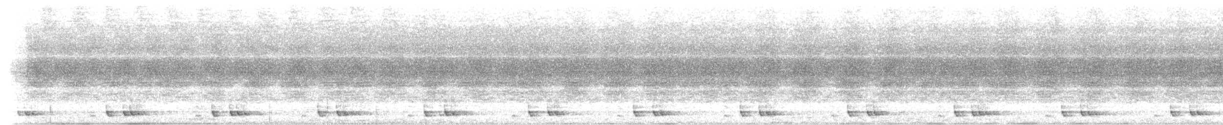 Black-browed Barbet - ML259797731