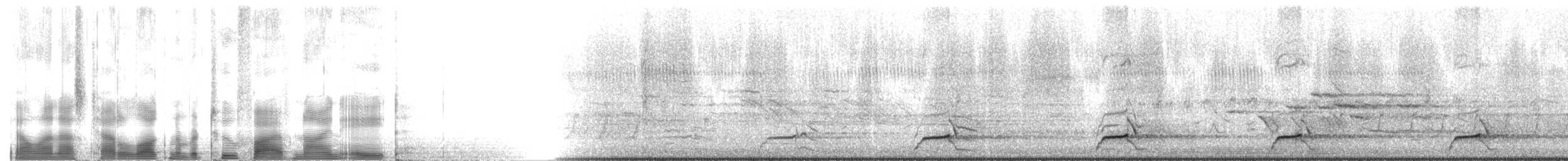 Northern Bobwhite (Eastern) - ML2598