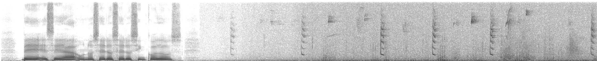 Колібрі-інка строкатокрилий - ML259848