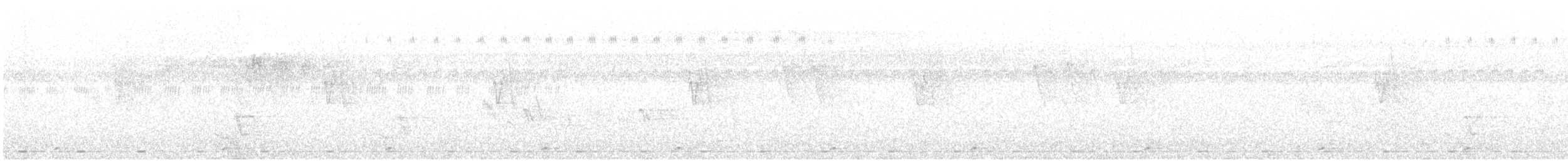 Malabar Barbet - ML259860311