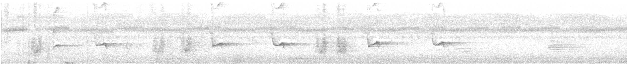 Greater Racket-tailed Drongo - ML259860831