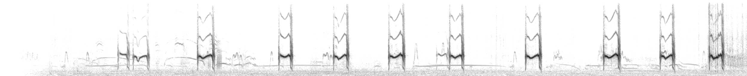 Chorlitejo Semipalmeado - ML259863421