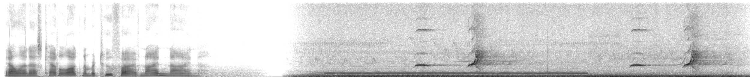 Northern Bobwhite (Eastern) - ML2599