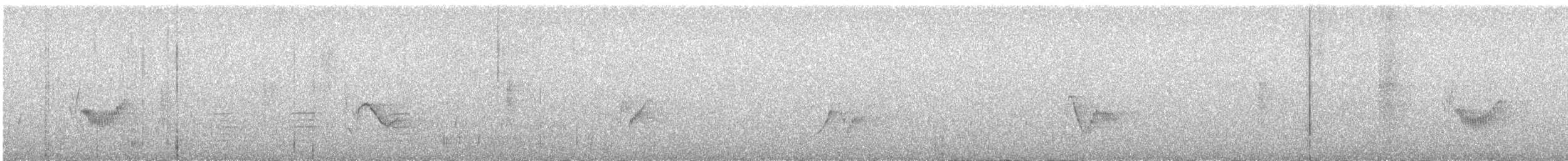 Cassin's Vireo - ML259981301