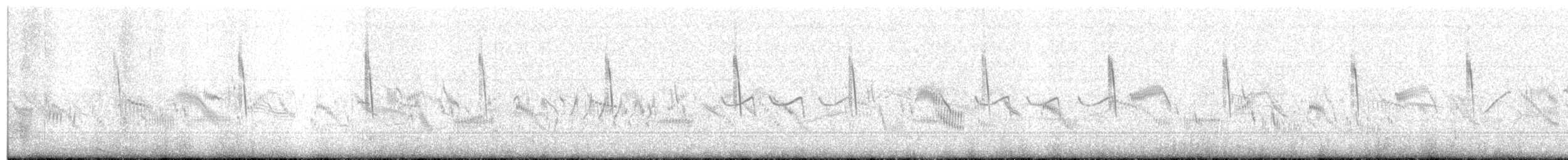 Cisticole des joncs - ML260108671