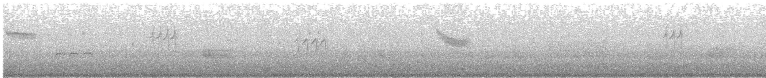 Grass Wren (Paramo) - ML260162801