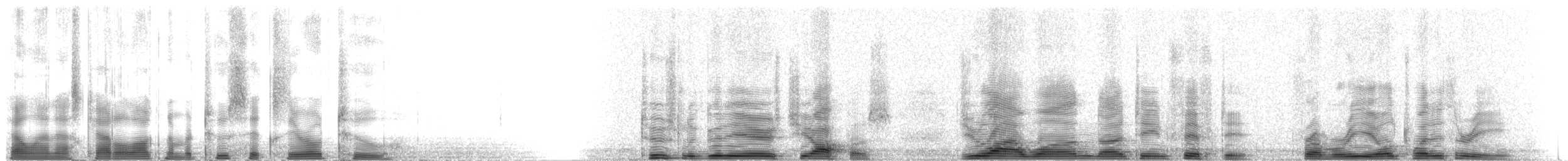 nordkrattvaktel (coyoleos gr.) - ML2602