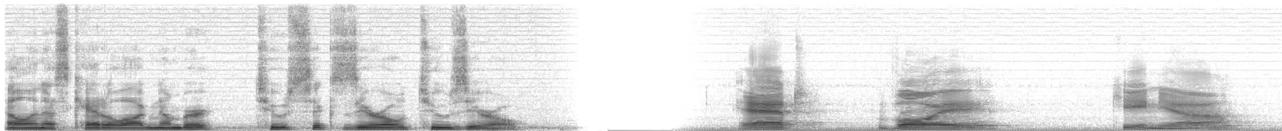 vodouš bahenní - ML26020