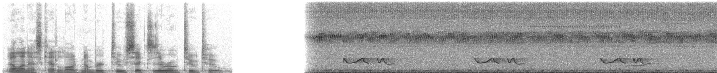 Chotacabras Espinero - ML26022