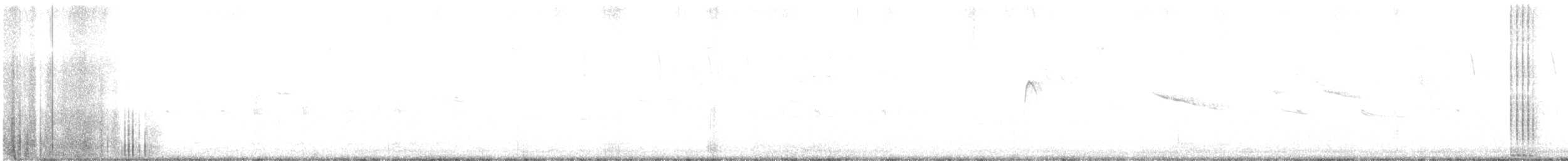 Калифорнийская кукушка-подорожник - ML260250531