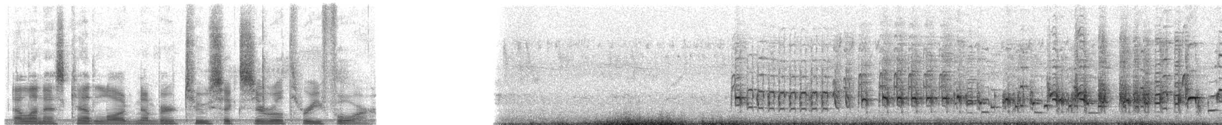 hvitnebbøffelvever - ML26034