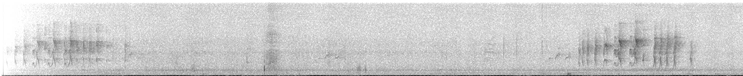 Strichelbrust-Dickichtschlüpfer - ML260369591
