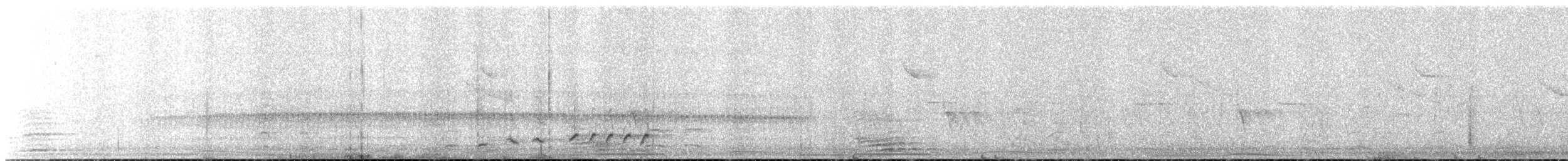 Long-tailed Mockingbird - ML260386361