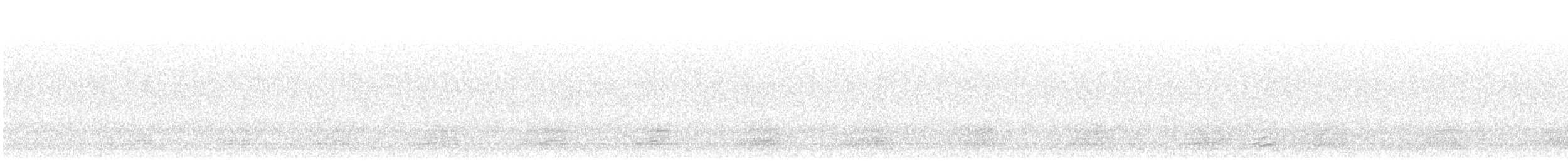 Mallard/American Black Duck - ML26040451