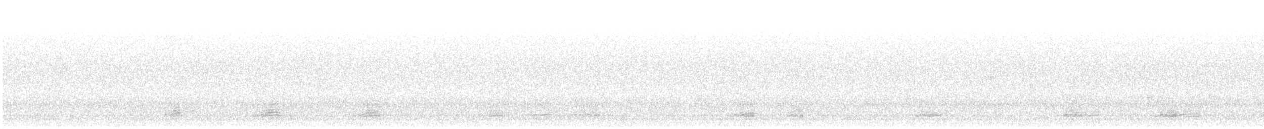 Mallard/American Black Duck - ML26040461
