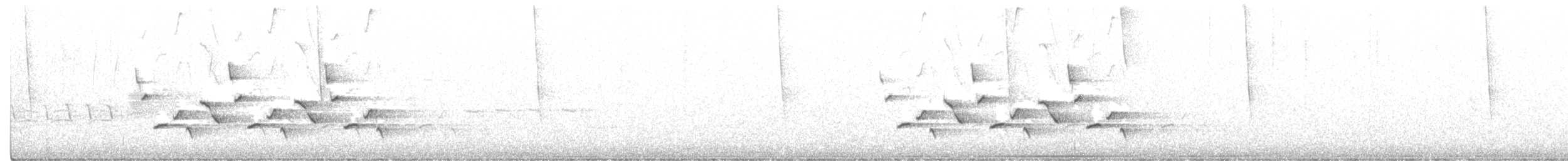 Поплітник каролінський - ML260430371