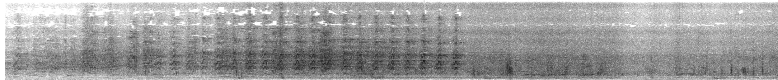 和尚鸚鵡 - ML260435271