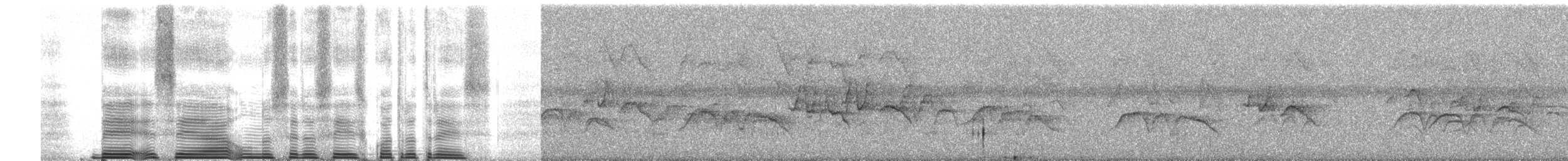 Колібрі-довгохвіст смарагдовий - ML260439