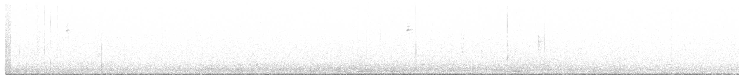 Black-throated Gray Warbler - ML260470581