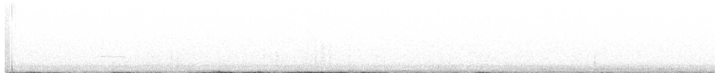 White-throated Swift - ML260476441