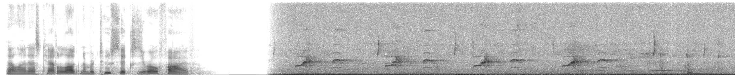 Northern Bobwhite (Masked) - ML2605