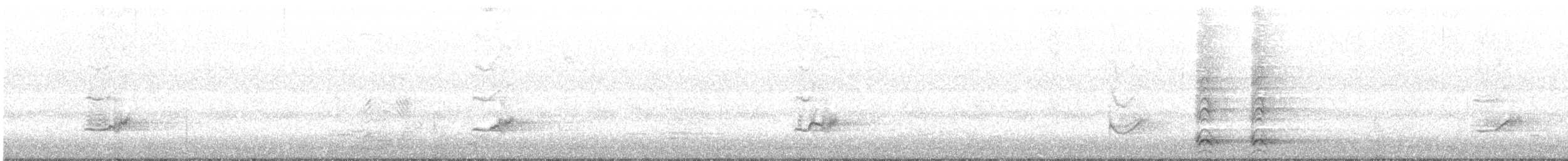 Чернокрылая пиранга - ML260617681