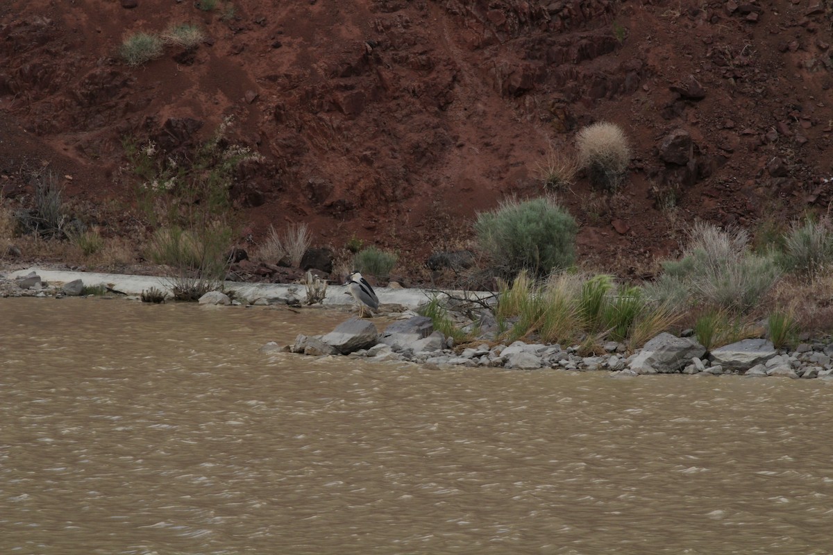 Ногоовор зашин - ML260629821