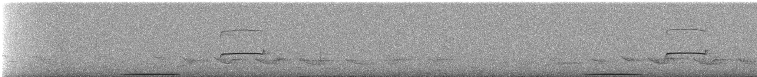 Güneyli Bıyıksız Tiranulet [obsoletum grubu] - ML260643481