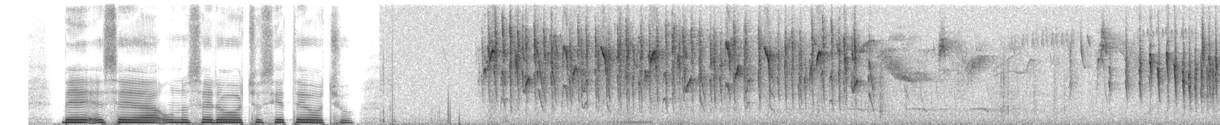 Superciliaried Hemispingus (Superciliaried) - ML260674