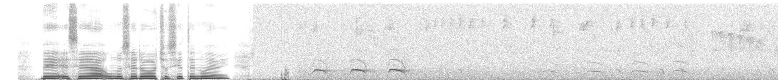 Masked Trogon - ML260675