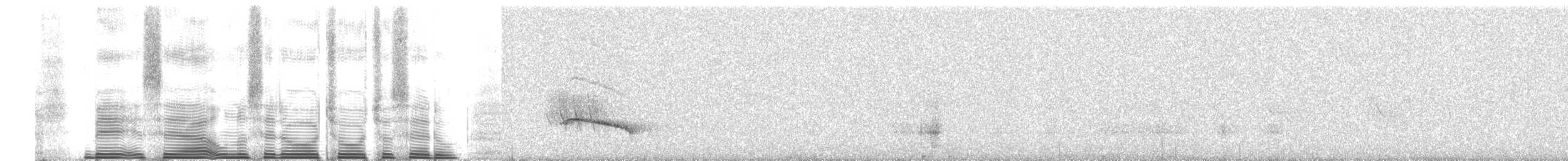 Ocellated Tapaculo - ML260676