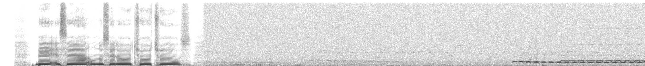 White-throated Screech-Owl - ML260678