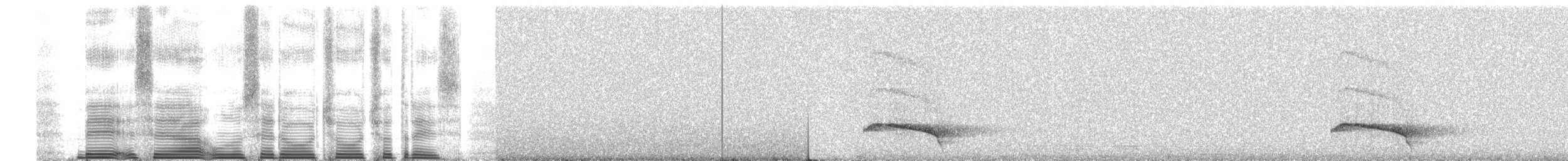 Ocellated Tapaculo - ML260679