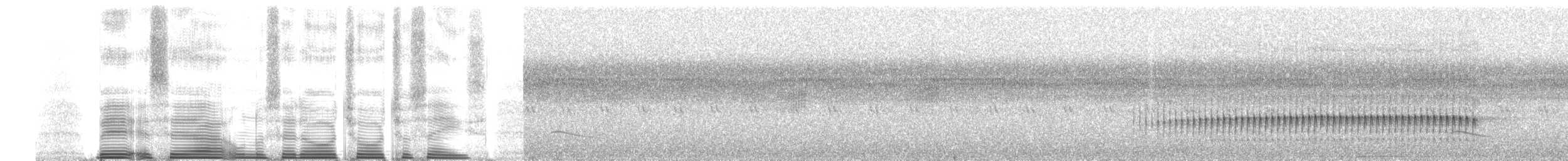 Golden-olive Woodpecker - ML260682