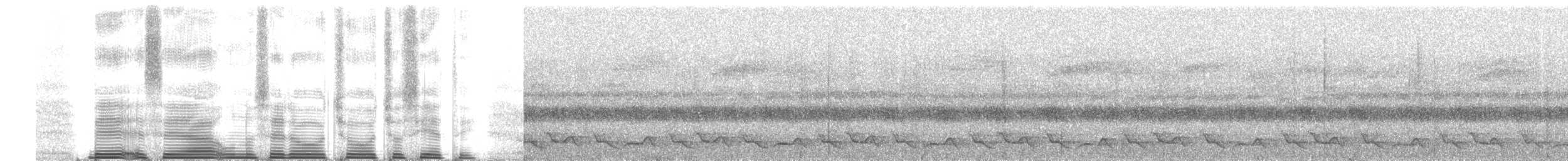 wood-quail sp. - ML260683