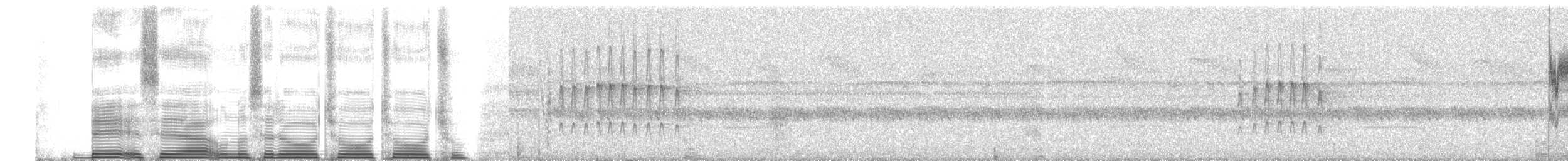 Gold-ringed Tanager - ML260684