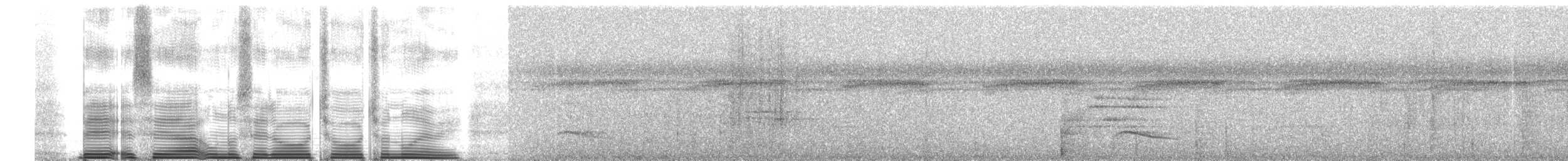 Barred Hawk - ML260685