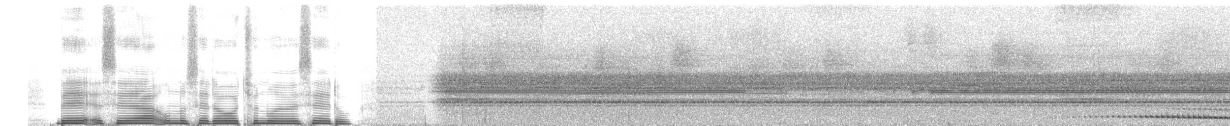 Choco Screech-Owl - ML260686