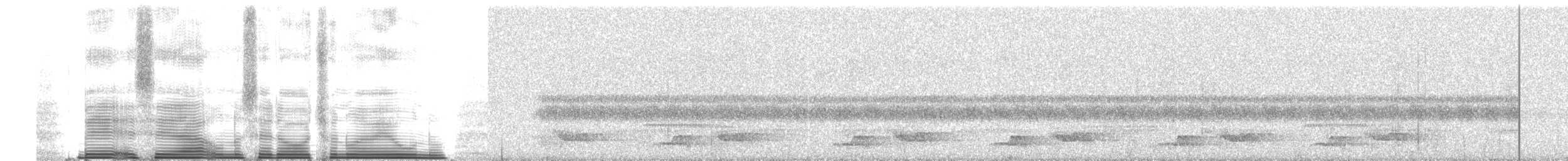 Chestnut Wood-Quail - ML260687