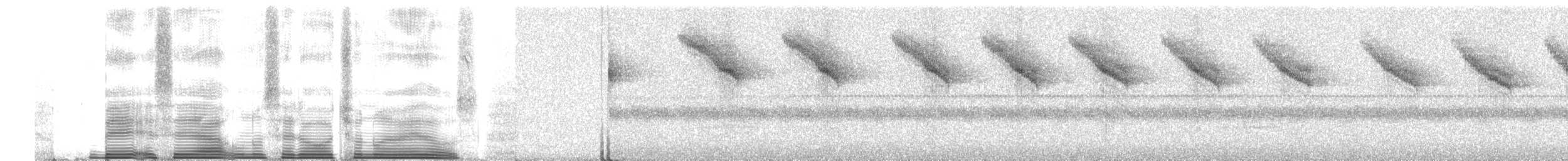 Gold-ringed Tanager - ML260688