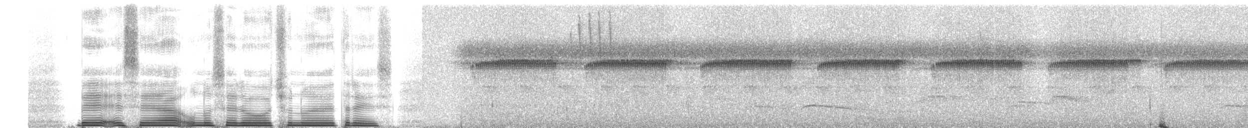 Barred Hawk - ML260689