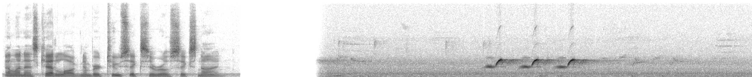 rødpannebuskvarsler - ML26069