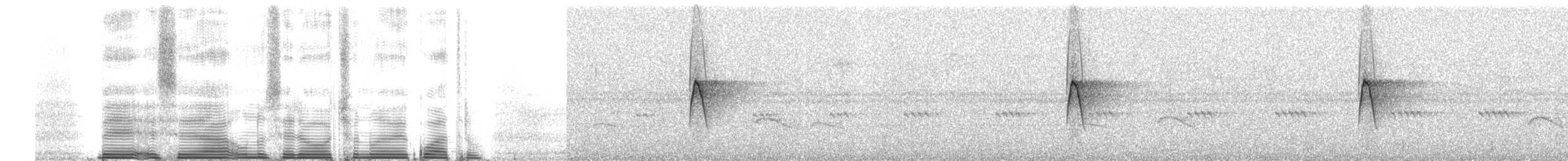 Ornate Flycatcher - ML260690