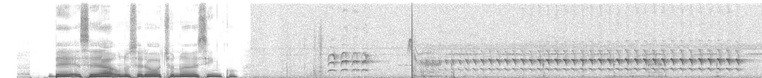 Nariño Tapaculo - ML260691