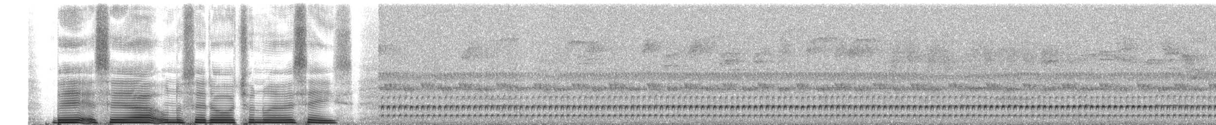 Tatama Tapaculo - ML260692