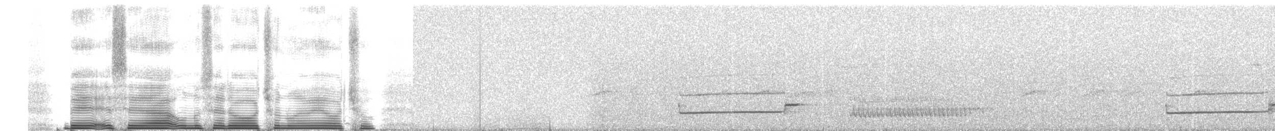 Muisca Antpitta - ML260694