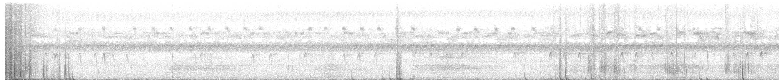 Barred Owl - ML260694591