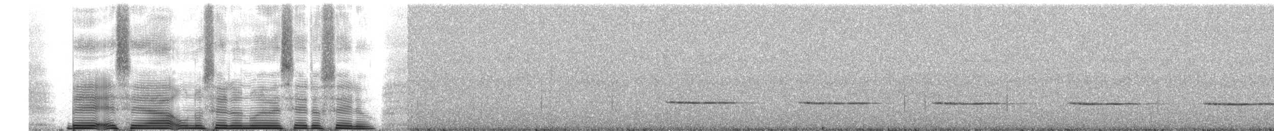 tanımsız Grallaria sp. - ML260696